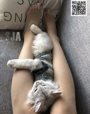 青青色av_高清高清迅雷在线观看
